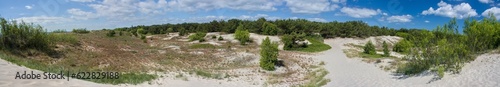 Panoramic wide-angle view of the Baltic Sea and beach with bush on Hel peninsula, Poland