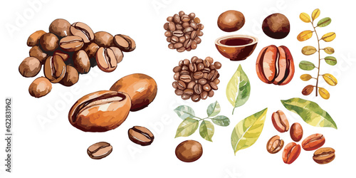 watercolor Coffee Bean clipart for graphic resources