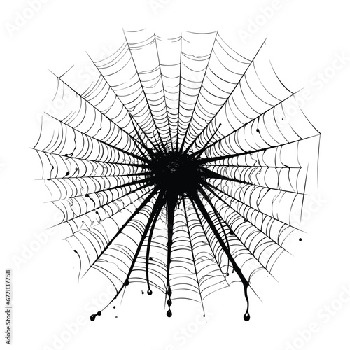 Spider web cobweb silhouette