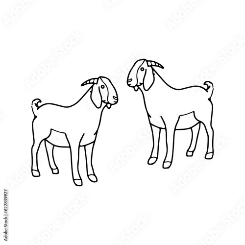 vector illustration of two goats