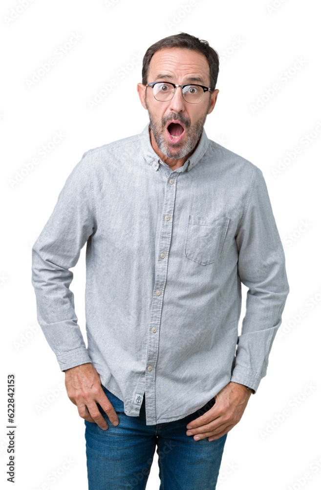 Handsome middle age elegant senior man wearing glasses over isolated background afraid and shocked with surprise expression, fear and excited face. Handsome middle age elegant senior man wearing glasses over isolated background afraid and shocked with surprise expression, fear and excited face.