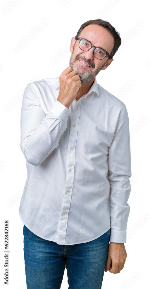 Handsome middle age elegant senior business man wearing glasses over isolated background with hand on chin thinking about question, pensive expression. Smiling with thoughtful face. Doubt concept. Handsome middle age elegant senior business man wearing glasses over isolated background with hand on chin thinking about question, pensive expression. Smiling with thoughtful face. Doubt concept.