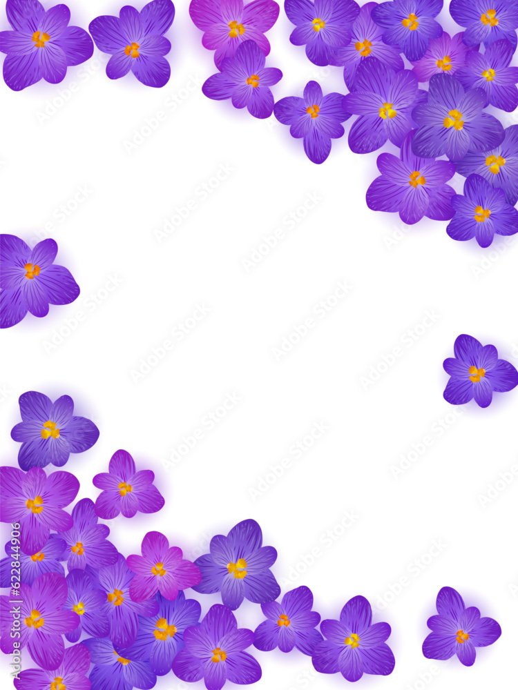 Violet crocus spring flowers vector illustration. Saffron flowers purple crocus spring blossom Violet crocus spring flowers vector illustration. Saffron flowers purple crocus spring blossom