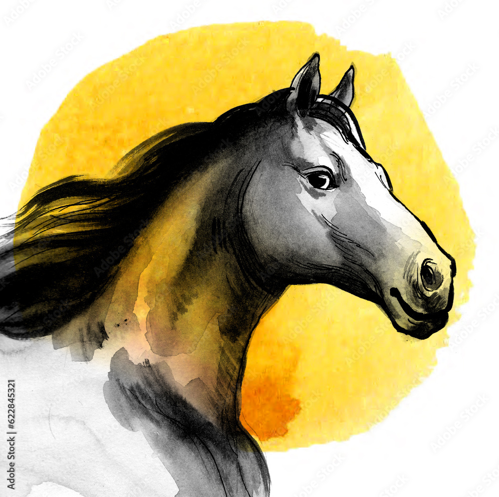 Black horse head. Handdrawn ink and watercolor sketch with splatters Stock Illustration Adobe