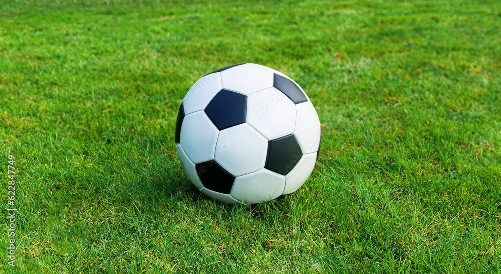 beautiful classic soccer ball on the grass beautiful classic soccer ball on the grass
