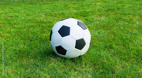 beautiful classic soccer ball on the grass