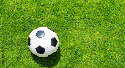 classic black and white soccer ball on the grass in high resolution and sharpness HD