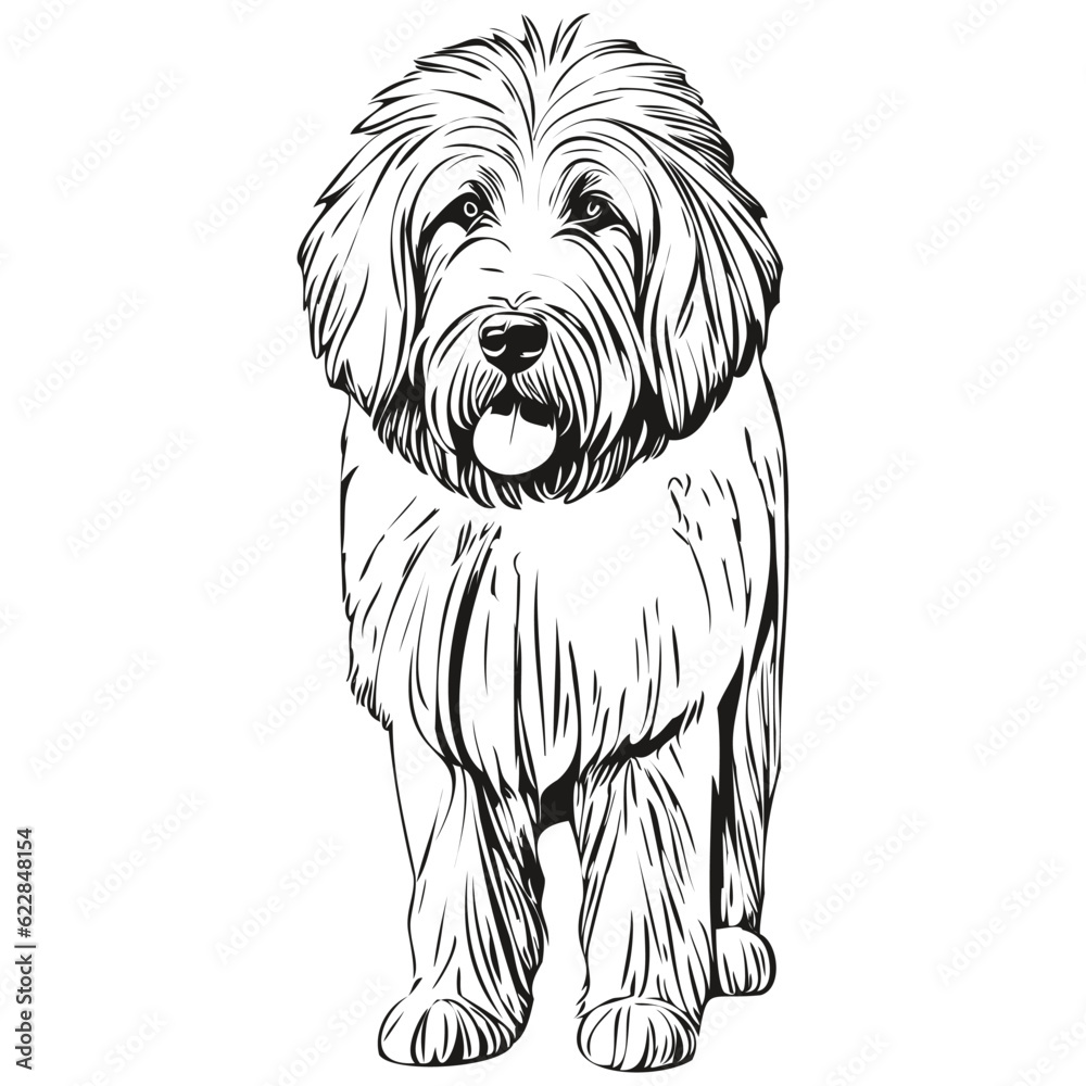 Old English Sheepdog Stock Vector Image & Art - Alamy