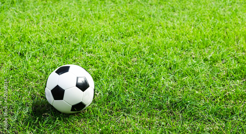 classic soccer ball on a grass