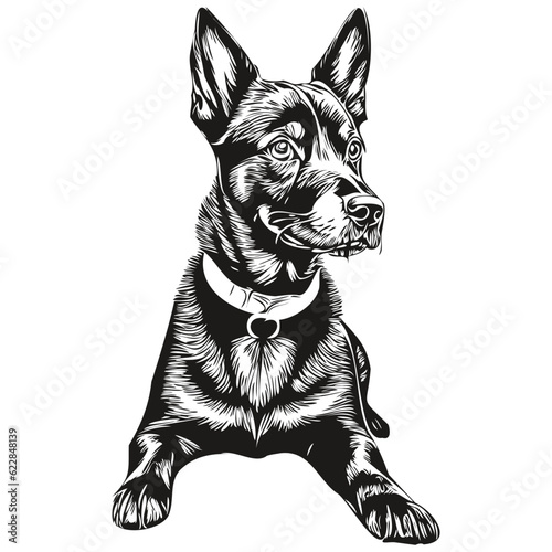 Manchester Terrier dog engraved vector portrait, face cartoon vintage drawing in black and white