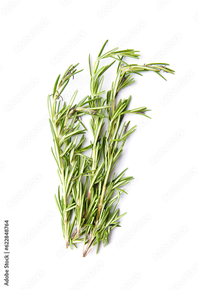 Fresh rosemary on white background, top view Fresh rosemary on white background, top view