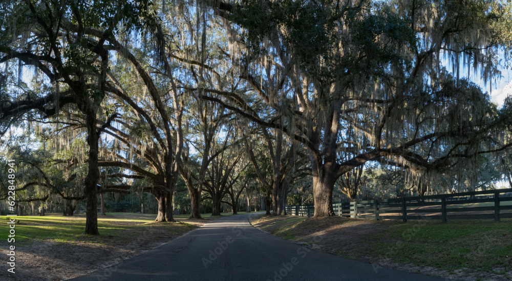 Georgia Plantation