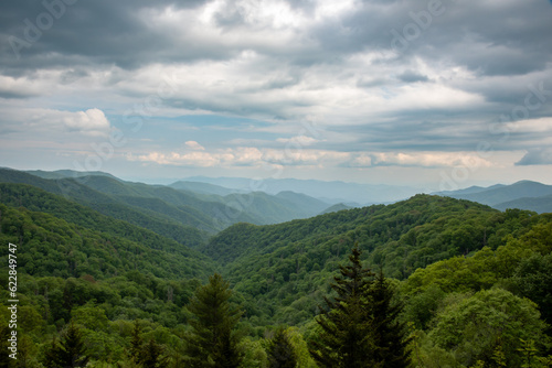 Smoky Overlook