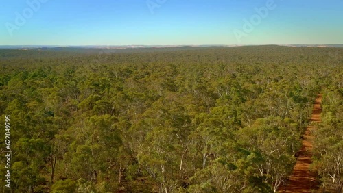 Aerial view Dryandra Woodland National Park in Western Australia within the shires of Cuballing, Williams and Wandering, conservation area with species of threatened fauna. Australian forest footage. photo