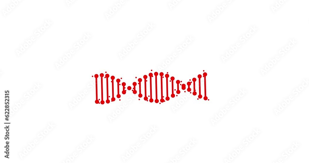 Animation of abstract DNA fragment with seamless loop on white background. Conceptual design of genetic information for science animation. Rotating DNA. 4K resolution DNA loader.