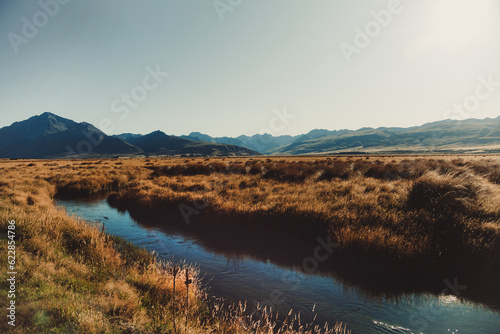 stream running through summer field in alpine landscape