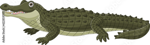 Cartoon crocodile isolated on white background