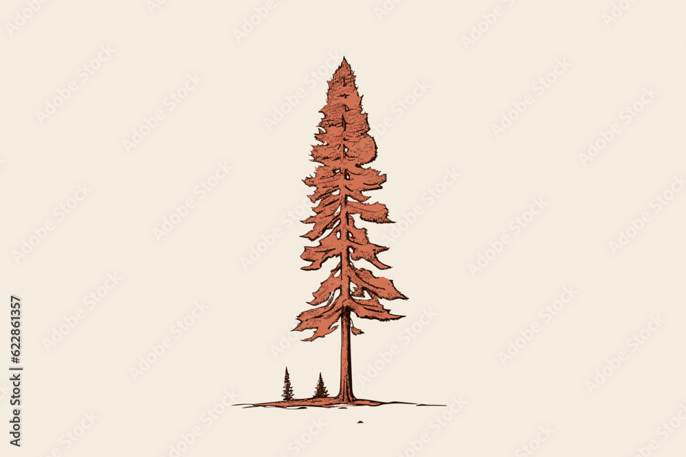 Doodle inspired Redwood tree, cartoon sticker, sketch, vector