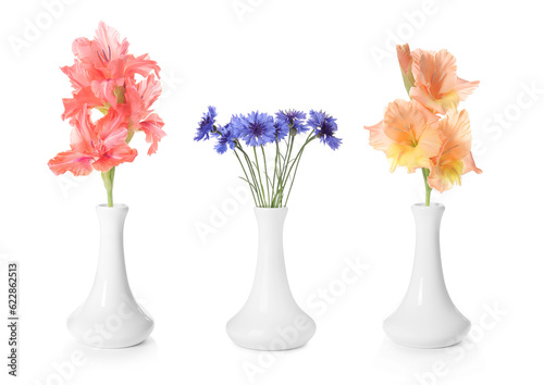 Collage of stylish vase with different bouquets on white background © New Africa