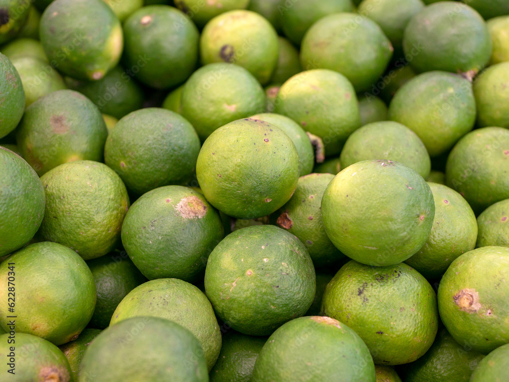 A pile of ripe green baby oranges in the supermarket A pile of ripe green baby oranges in the supermarket