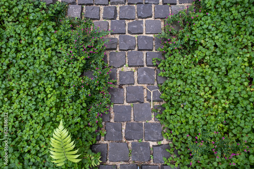 Square stone path background texture with trees on the sides.