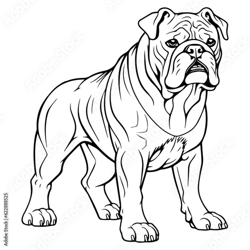 Dog, illustration, Vector, Pet, Bulldog