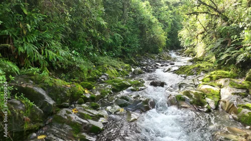 Experience the mesmerizing beauty of tropical waterfalls in Bajos del Toro, Costa Rica's enchanting natural paradise. Experience the mesmerizing beauty of tropical waterfalls in Bajos del Toro, Costa Rica's enchanting natural paradise.