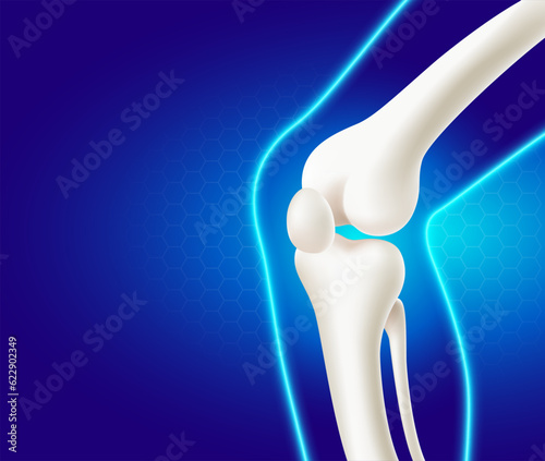 Leg bone and knee joint, side view medical use, advertising material on blue background. Realistic vector file illustration.