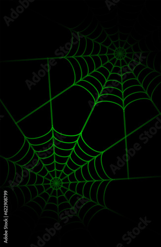 spider web with dew drops