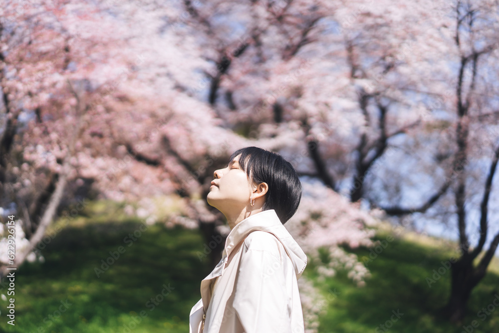 Side view portrait closing eye japanese woman with sakura flower travel in japan holidays spring season Side view portrait closing eye japanese woman with sakura flower travel in japan holidays spring season