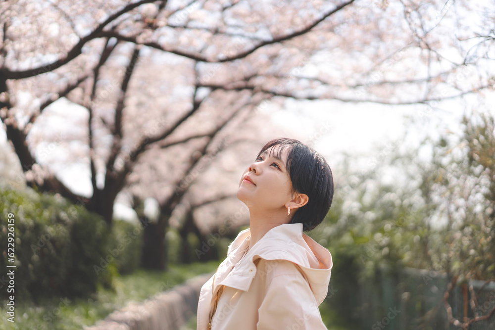 Side view portrait japanese woman with sakura flower travel in japan holidays spring season Side view portrait japanese woman with sakura flower travel in japan holidays spring season