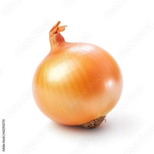 Fresh Onion Isolated on White Background