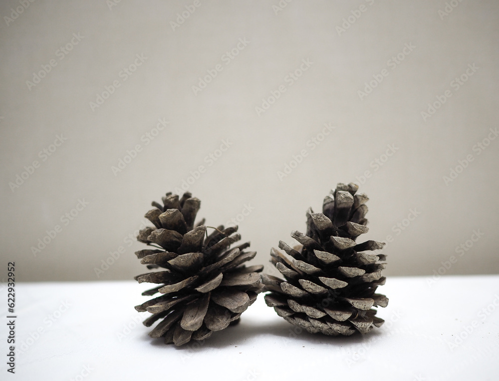 dry pine cone for decoration dry pine cone for decoration