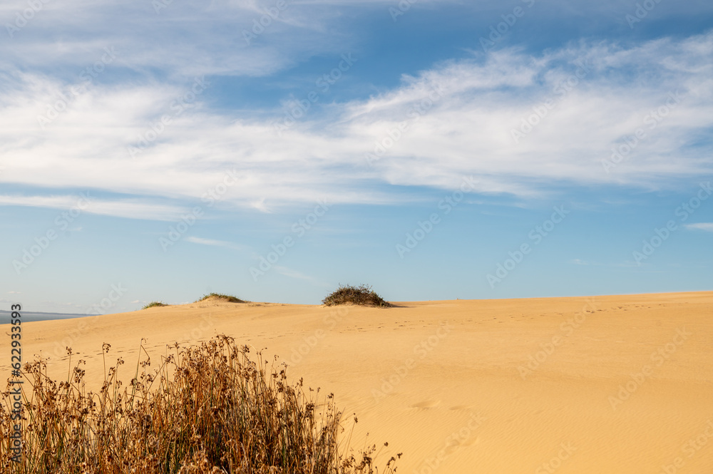 Dunes of the Cabo Polonia National Park in the Department of Rocha in Uruguay. Dunes of the Cabo Polonia National Park in the Department of Rocha in Uruguay.