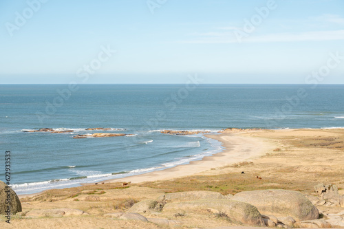 Fototapeta Naklejka Na Ścianę i Meble -  View of the Atlantic Ocean from the Cabo Polonio Natural Park in the Department of Rocha in Uruguay