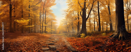 Autumn forest scenery, wide banner.