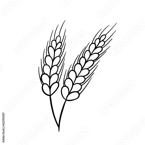 Ear of Wheat, Barley or Rye. Vector outline icon isolated on white background