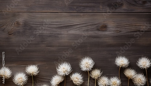 Dry white dandelions on wooden background. Flat lay, top view.