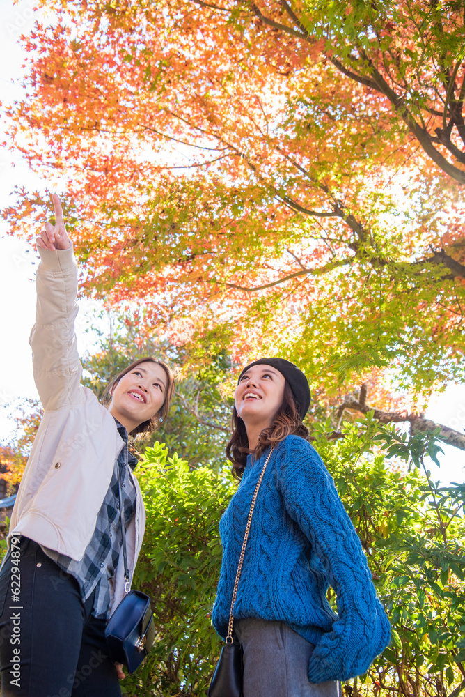 紅葉を見ながら観光地を散策する女性2人 紅葉を見ながら観光地を散策する女性2人