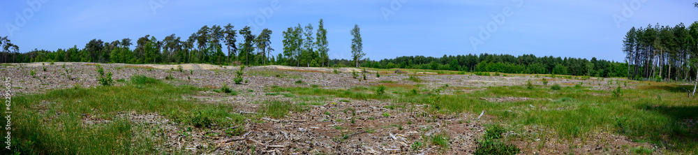 Panorama photo of a landscape that is being redeveloped to create more diversity