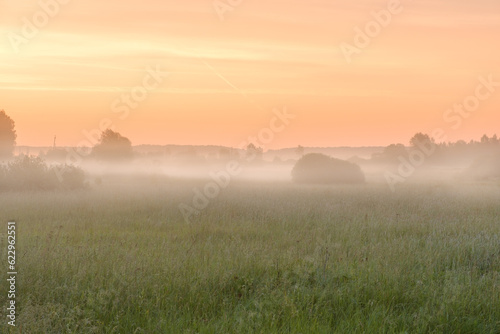 Thick fog over the meadow and trees at dawn. Foggy landscape on a summer morning.