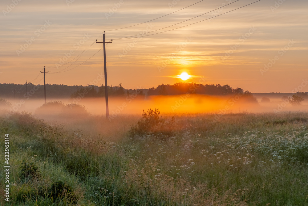 Thick fog over the meadow and trees against the backdrop of the sun rising from the horizon on a summer morning. Thick fog over the meadow and trees against the backdrop of the sun rising from the horizon on a summer morning.