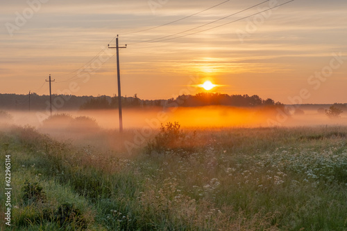 Thick fog over the meadow and trees against the backdrop of the sun rising from the horizon on a summer morning.