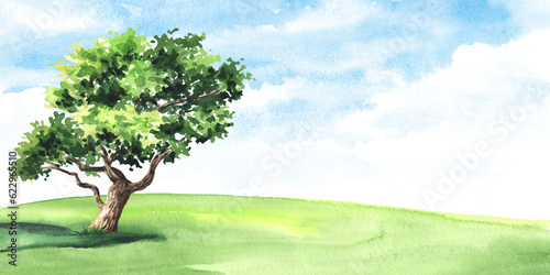 Watercolor tree side view for landscape and architecture drawing  element for environment and garden. Hand drawn watercolor illustration 