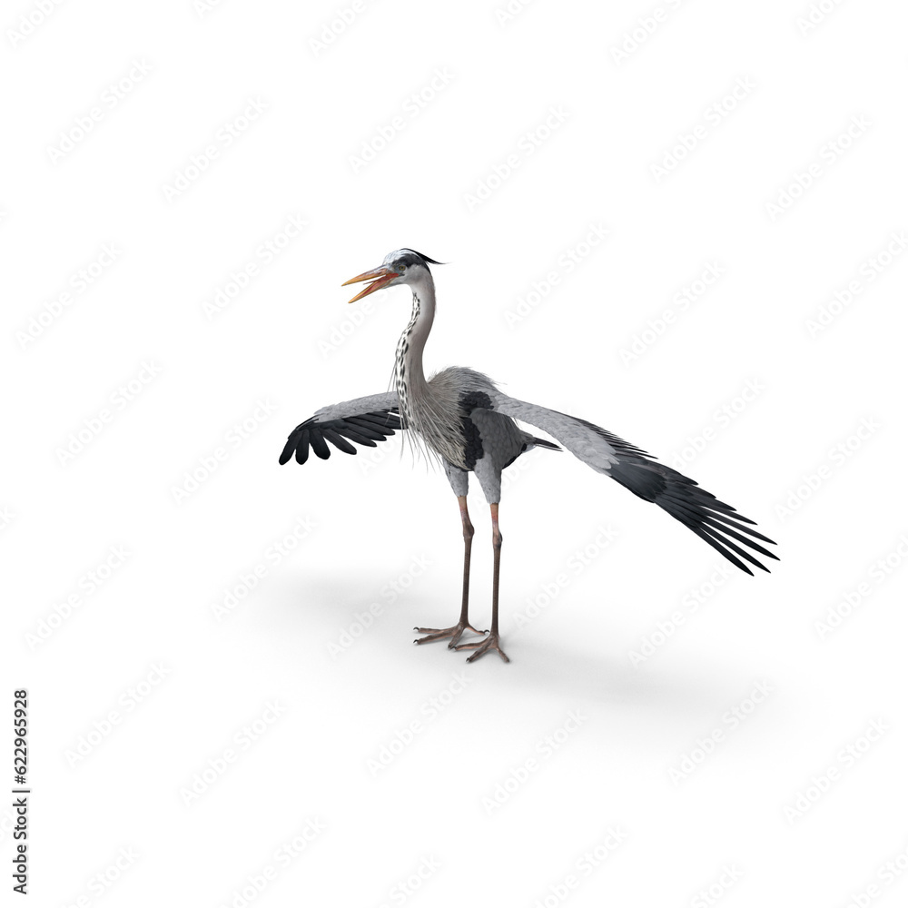 Obraz premium 3D rendering of The crane on white background isolated, Japanese cranes stand with open wings