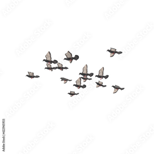 Flocks of flying pigeons are isolated on white background, Flying pigeons. Flock (flight) of birds. Free birds isolated, 3D rendering