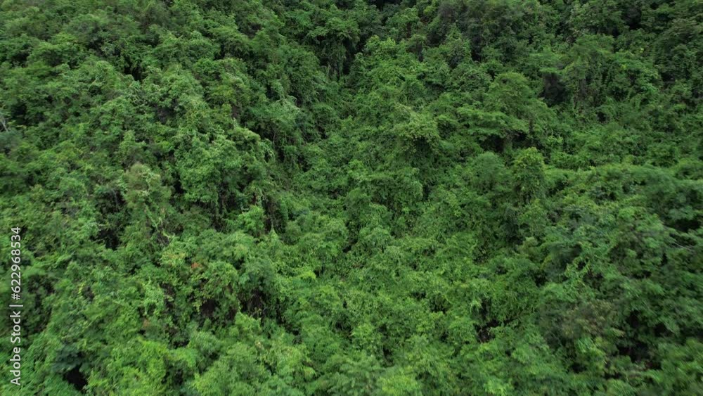 Aerial view of beautiful tropical rainforest full of large trees and covered with clouds in the rainy season of Thailand Aerial view of beautiful tropical rainforest full of large trees and covered with clouds in the rainy season of Thailand