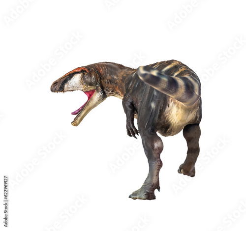dinosaur , Carcharadontosaurus  isolated background © meen_na