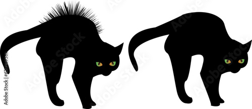 Vector black cat with arched back and glowing green eyes. Black cat with hair on end. Halloween theme. Cat silhouette with glowing eyes.  Witch pet.