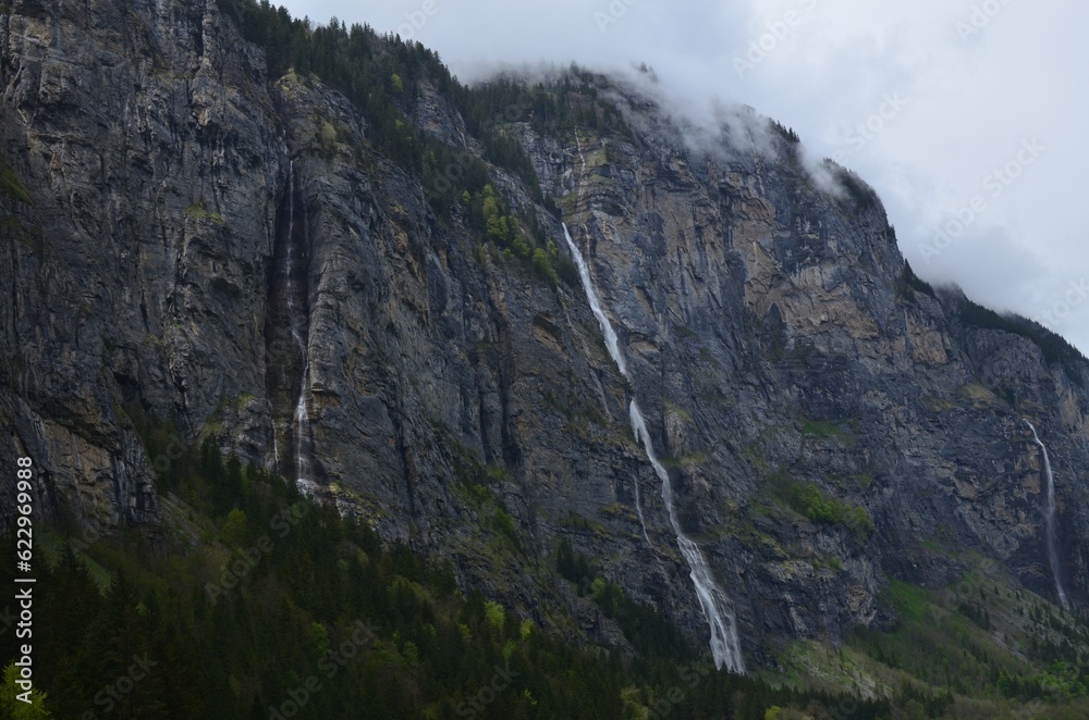 View of waterfall and green trees in mountains covered by fog